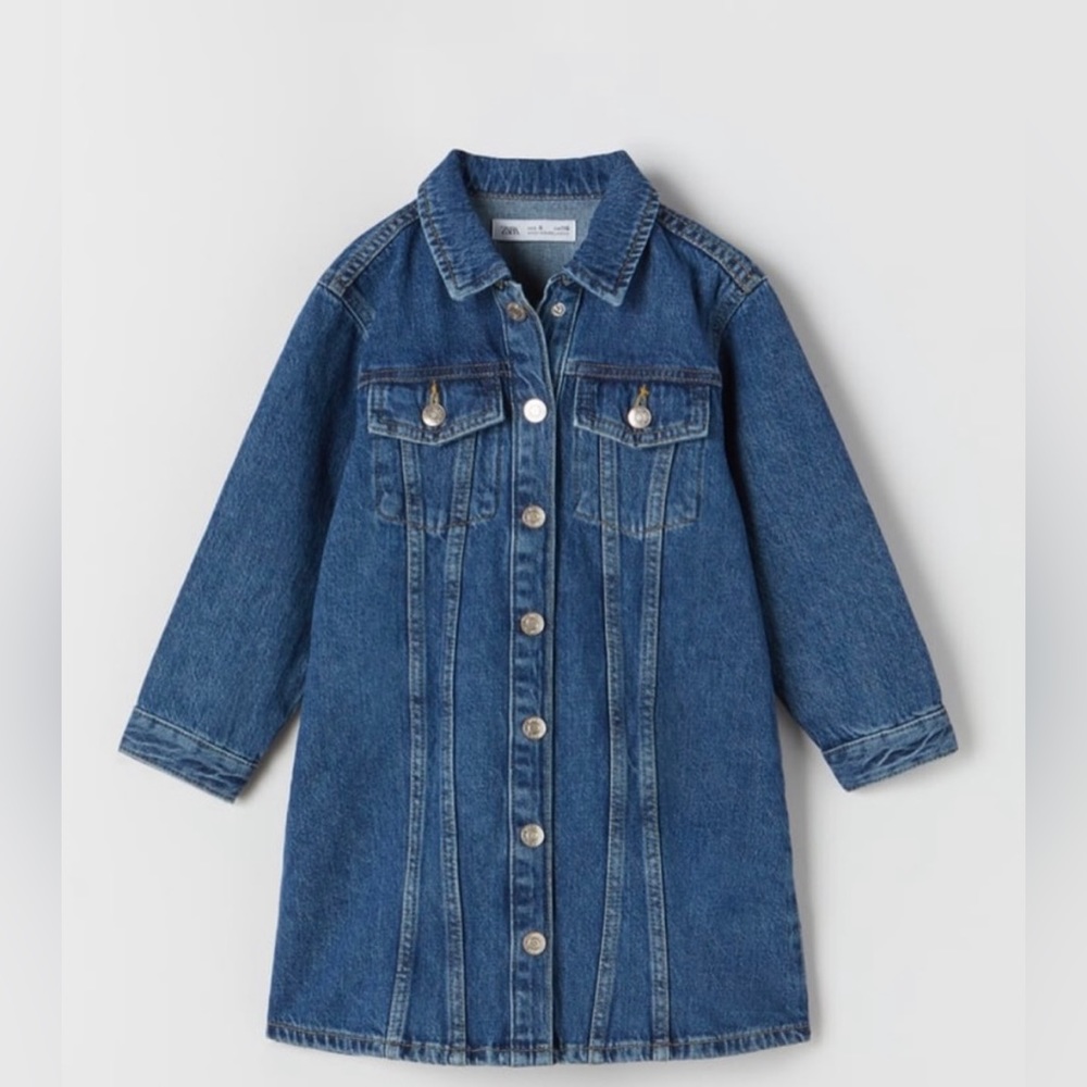 Zara Denim Dress